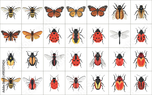 A diverse collection of butterflies and beetles in vibrant colors and patterns Vector