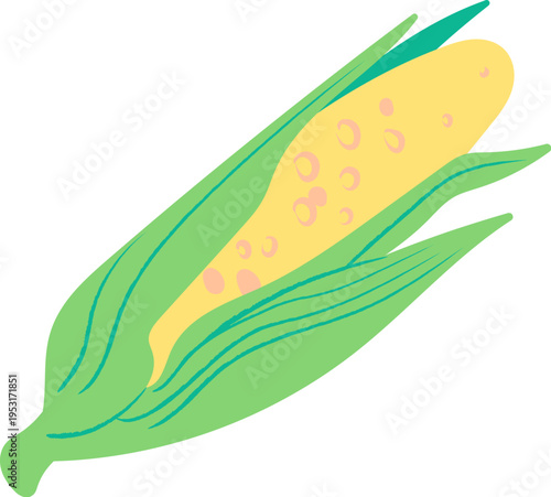 Corn Cob With Husk Cartoon