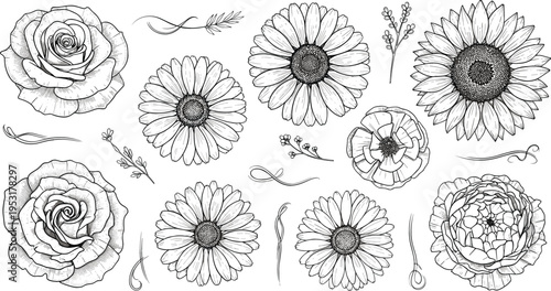 Hand drawn flowers set with rose daisy peony and botanical elements, vintage engraving style floral collection for design vector illustration pack