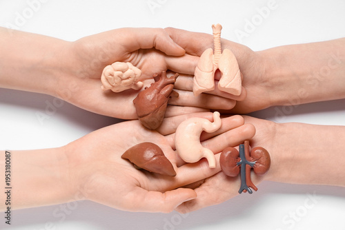 Female hands with human int...