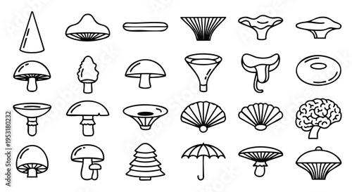 Mushroom shapes line art icons collection. Fungi forms outline illustrations. Minimalist vector set.
