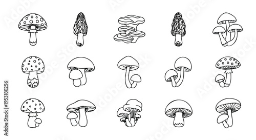 Mushroom Doodle Collection. Hand-drawn Fungi Set. Outline Sketch Illustration. Simple Line Art Graphic.