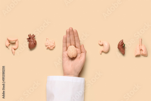 Female doctor's hand with h...