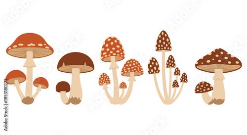 Whimsical Mushroom Collection. Forest Fungi Group. Cartoon Style. Flat Graphic. Vector Illustration.