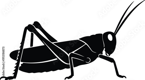 Silhouette grasshopper insect icon side view on white background vector design
