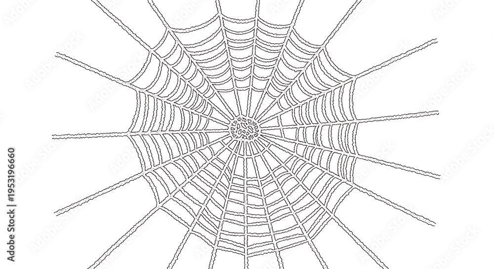 Obraz premium Intricate spider web design with radial threads and spiral patterns
