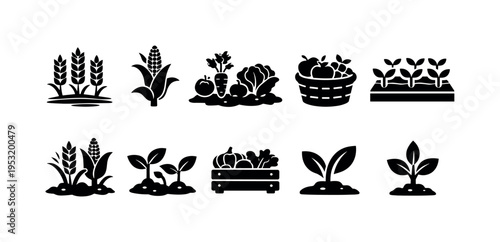 Farming and Harvest Icons
