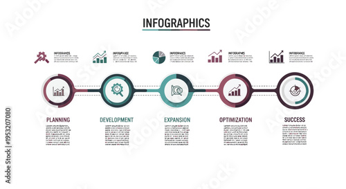Set of 5 infographic elements vector