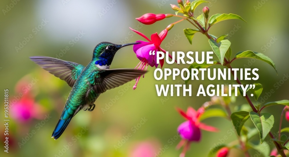 Obraz premium Hummingbird Feeds on Pink Flower in Nature
