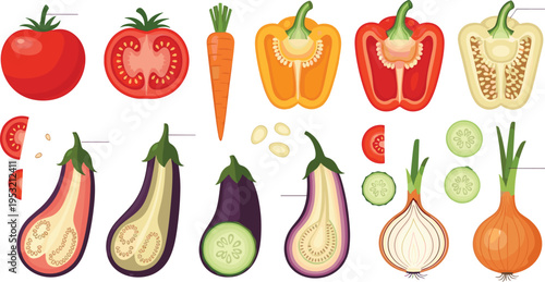 Fresh Vegetable Cross Section Set with Tomato, Eggplant, Carrot, Onion, Bell Pepper, and Detailed Organic Food Illustrations in Flat Vector Style
