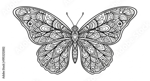 Intricate Butterfly Illustration - Detailed Wings and Body Design.