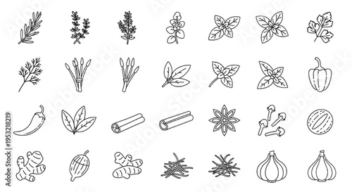 Herb and Spice Line Icon Set, Culinary Botanical Outline Elements Seasoning Collection Vector