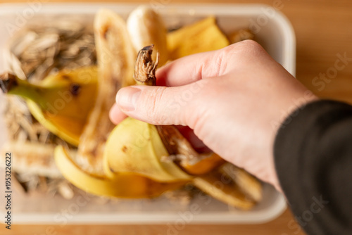 Food Compost production.hand places banana peels into a compost bin. Bio garbage.green compost 