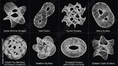 Advanced mathematical surface wireframe collection with complex geometric shapes and patterns on black background