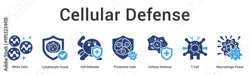 Cellular defense banner web icon showcases white blood cells and protective mechanisms fighting pathogens at microscopic level.
