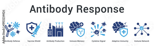Antibody response banner web icon demonstrates vaccine-triggered antibody production and immune memory formation processes.