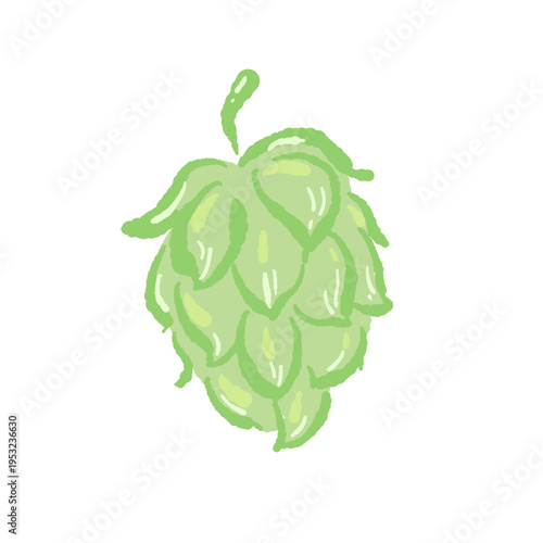 Single Green Hop Cone Illustration