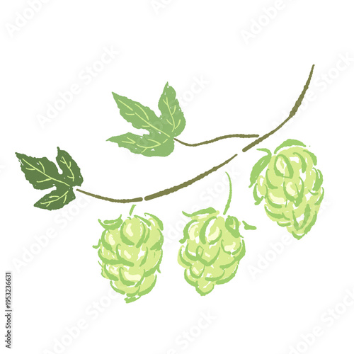 Green Hop Branch with Cones and Leaves