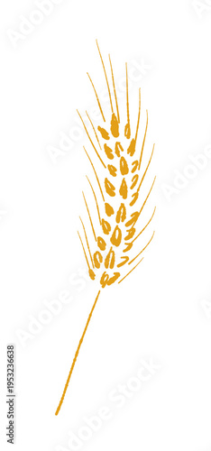 Curved Golden Barley Ear Vector