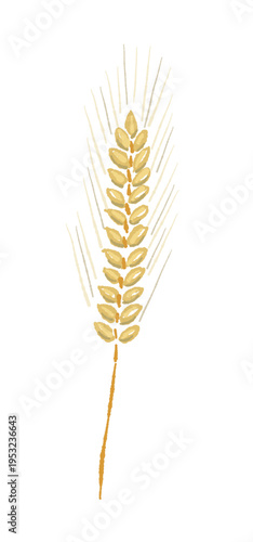 Single Straight Wheat Stalk Illustration