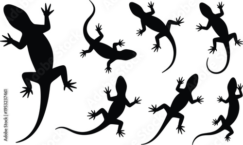 Set of gecko lizard black silhouette vector illustrations, reptile animal shapes collection for wildlife design, tropical nature decoration, exotic wall art