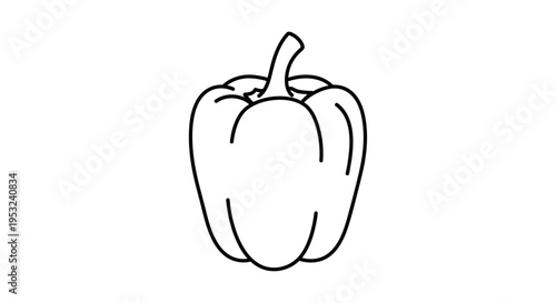 Simple Line Art Drawing of a Bell Pepper - Isolated on White Background