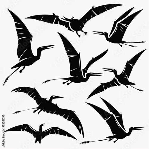 Set of black vector silhouettes of wild pterodactyl flying in the sky as a nature illustration collection of flying dinosaur