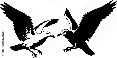 seagull vector illustration