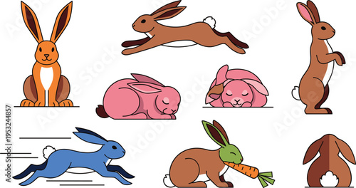  Cute rabbit illustrations set with jumping running sleeping eating and standing bunny characters colorful vector collection
