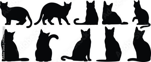 Ten black silhouettes of cats in various poses on a white background animal feline