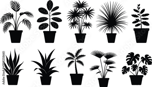 Potted plant silhouettes set, tropical indoor houseplants collection vector illustration, black botanical clipart isolated on white background for home decor and nature design
