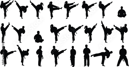 Martial arts silhouettes collection featuring karate fighters performing kicks, combat stances, training exercises, and self defense techniques in dynamic action poses