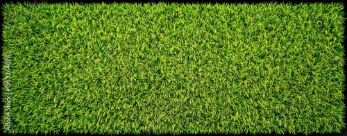 a large green rice field background, high-definition photography, high resolu...