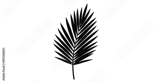 Detailed palm frond illustration with a striking black silhouette