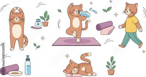 Cute cat yoga and wellness illustration set with stretching poses meditation hydration fitness routine and healthy lifestyle cartoon characters