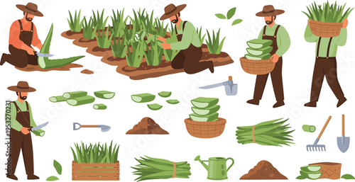 Farmers harvesting vegetables illustration set with agricultural workers tools baskets crops and organic farming activities rural scene collection