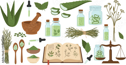 Herbal medicine and natural remedy illustration set with aloe plants bottles mortar herbs book and organic healing ingredients collection