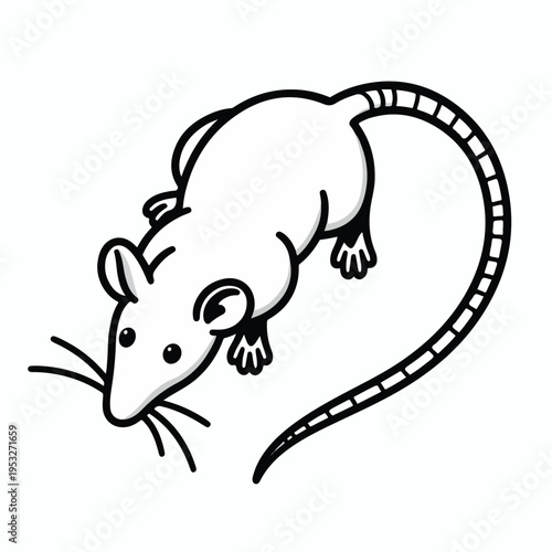 elegant rat line art
