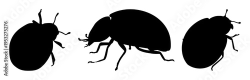 Ladybug silhouette set with a cartoon style illustrating an insect with a simple outline featuring bug, nature, animal with beetle and ladybird