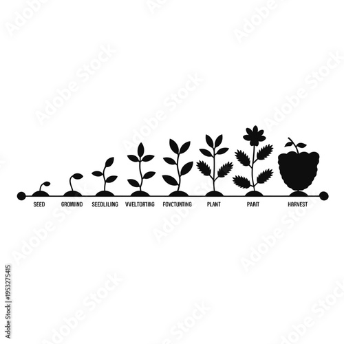 The life cycle of a plant from seed to harvest illustrated