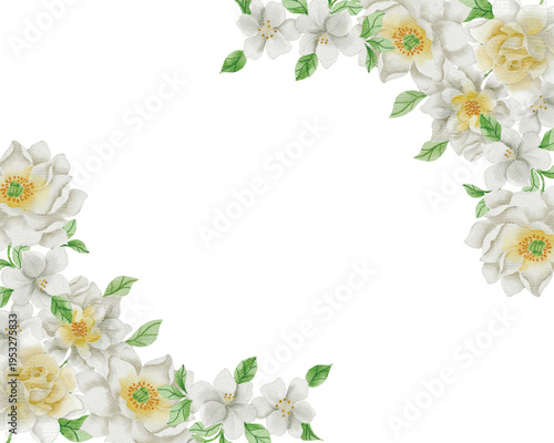 White Jasmine and Magnolia Watercolor Flower Border