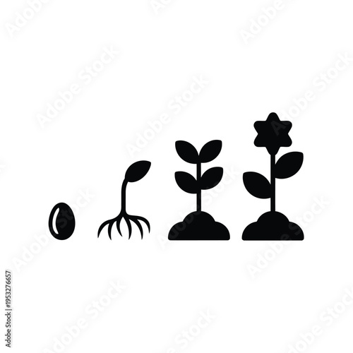 Plant growth stages illustrated with a simple black and white graphic