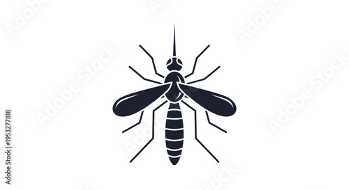 A detailed close-up photograph showcases a single mosquito with intricate markings against a pure white background, emphasizing its delicate anatomy and striped legs