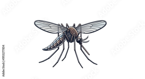 Close-up illustration of a mosquito, a common insect known for its disease-carrying capabilities and blood-feeding habits