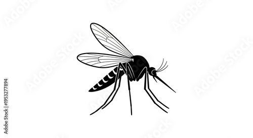 Illustration of a Mosquito in Black and White, a common flying insect known for its biting nature and potential to spread diseases