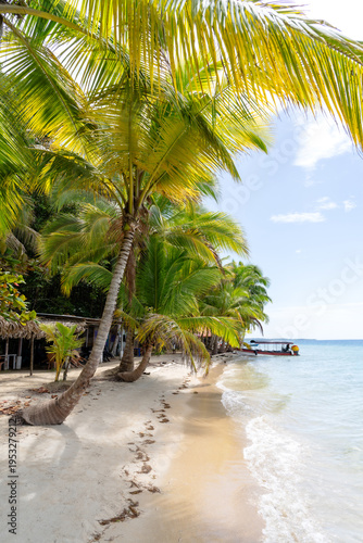 Cayo Zapatilla Bocas de Toro Panama