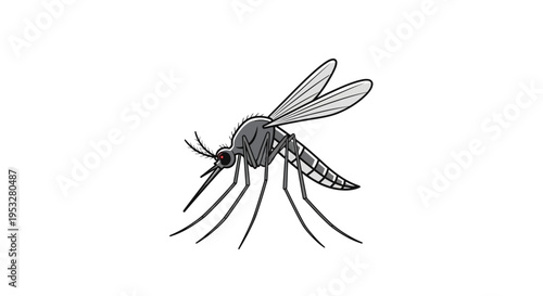 Detailed vector illustration of a common mosquito, a tiny flying insect often associated with summer and its distinctive biting behavior