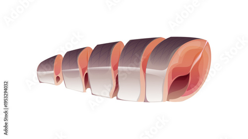 Fish fillet slices, seafood raw meat portion with skin and pink flesh texture isolated on white. Cartoon vector fresh herring fish ingredient for food cooking, recipe preparation step, kitchen scene
