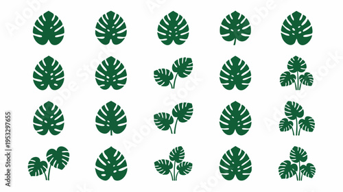 Collection of Monstera leaves in various styles arranged in a grid pattern