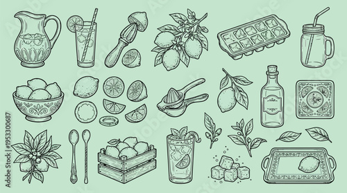 Vintage engraving style illustration set of lemonade ingredients, drinks, and tools on a light green background, perfect for summer recipes.